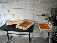 Nudeln aus eigener Herstellung